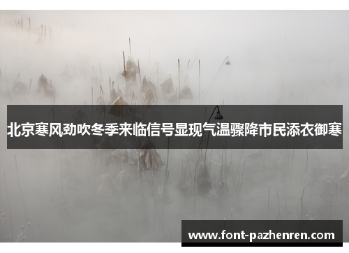 北京寒风劲吹冬季来临信号显现气温骤降市民添衣御寒 北京寒风劲吹冬季来临信号显现气温骤降市民添衣御寒