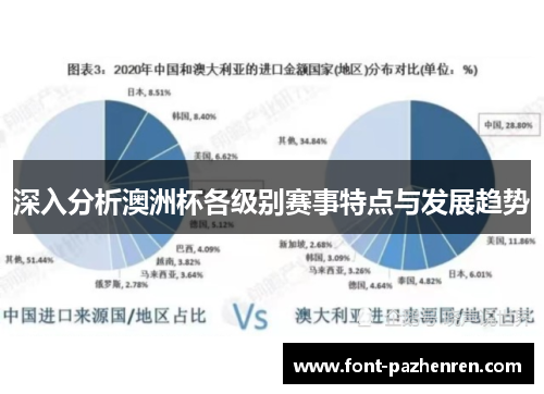 深入分析澳洲杯各级别赛事特点与发展趋势
