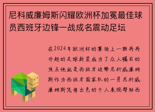 尼科威廉姆斯闪耀欧洲杯加冕最佳球员西班牙边锋一战成名震动足坛
