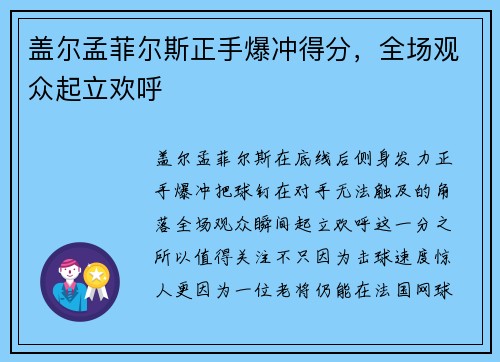 盖尔孟菲尔斯正手爆冲得分，全场观众起立欢呼